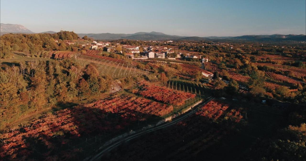 Skerlj Wine Estate Pension Tomaj Buitenkant foto
